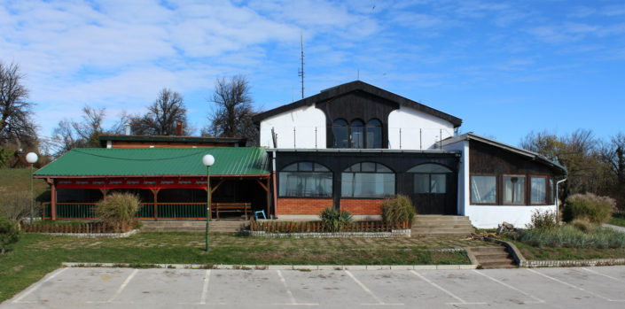 kamenicki vis 1