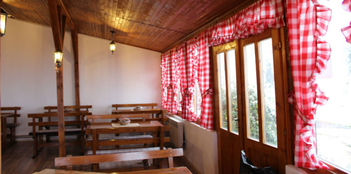 kamenicki vis 2